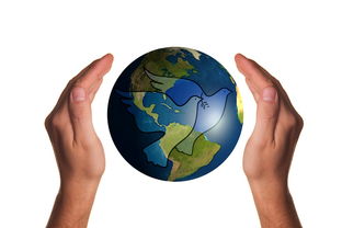 爱游戏在线登录入口-波兰队赛制分析：如何在团体赛制中保持稳定的表现，波兰球队如何